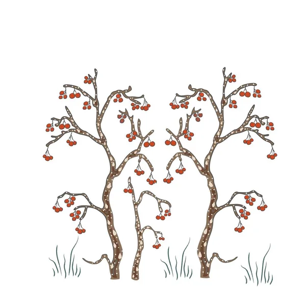 Beaux arbres. Style scandinave dessiné à la main — Image vectorielle