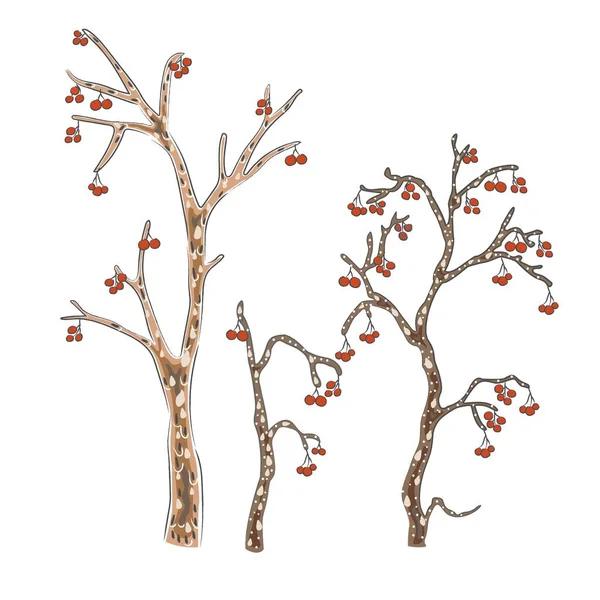 Милые деревья. Рисунок в стиле Скандинавии — стоковый вектор