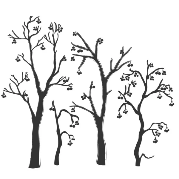 Modèle avec des arbres mignons. Conception détaillée dessinée à la main . — Image vectorielle