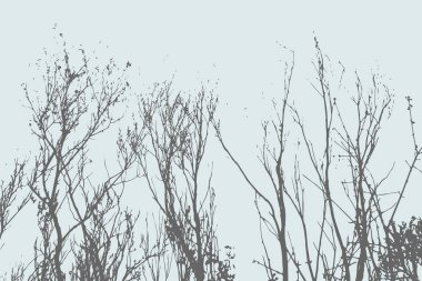 Elle çizilmiş elementleri olan şirin bir desen. İskandinav Tarzı.