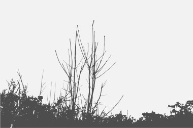 Elle çizilmiş elementleri olan şirin bir desen. İskandinav Tarzı.