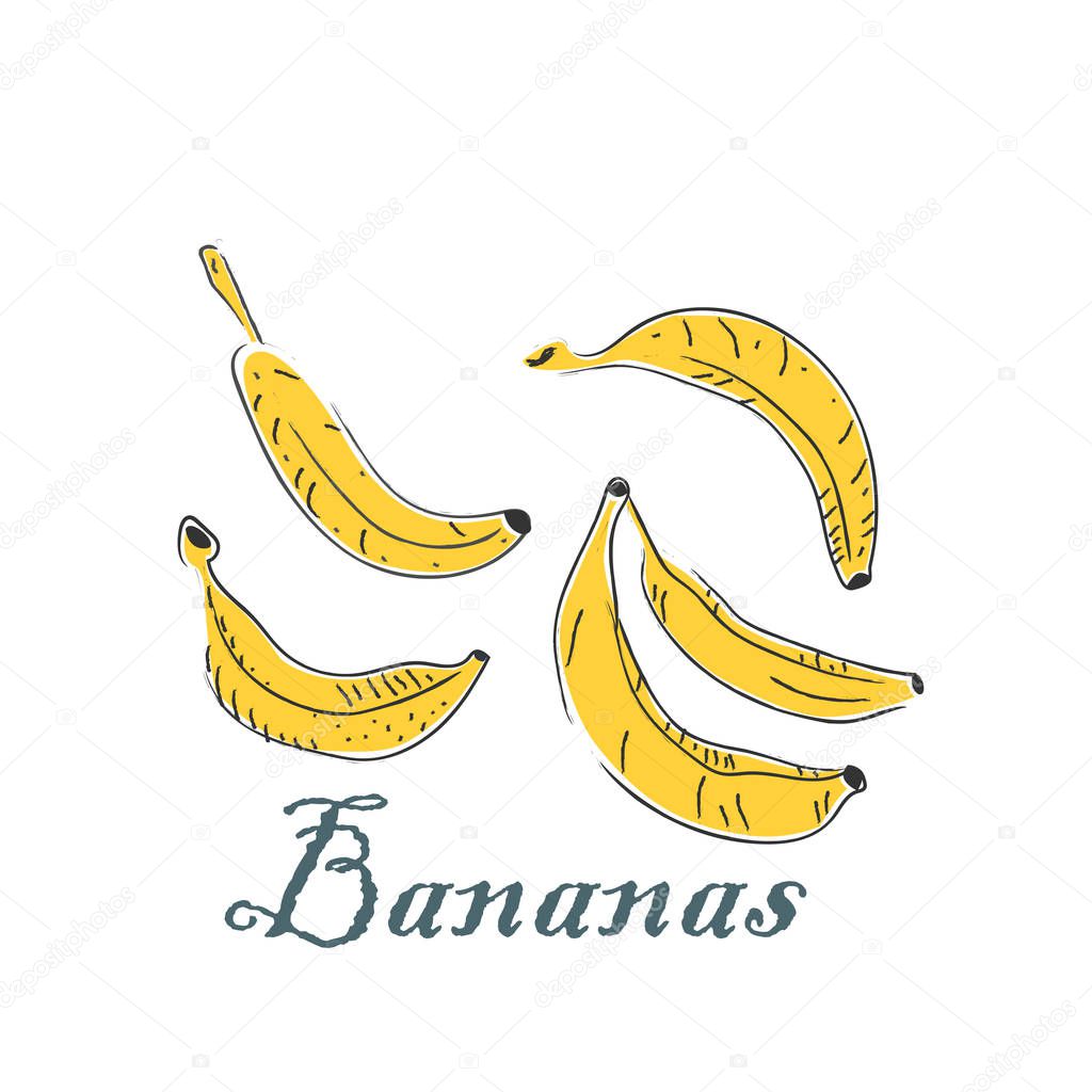Cute Winter Icon with Bananas. Hand Drawn Scandinavian Style. Ve