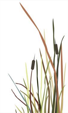 Çiçeksiz desen. El Çizimi.