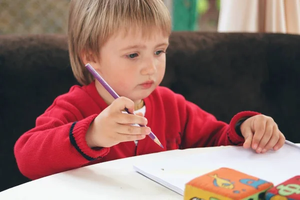 Porträt eines kleinen kaukasischen Jungen in lässiger Kleidung, der zu Hause studiert Stockbild