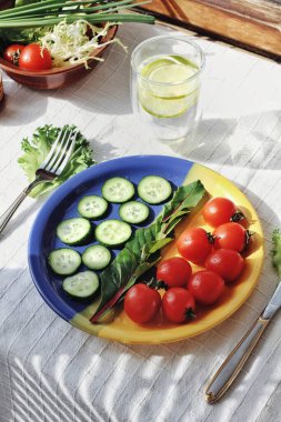 Beslenme geçmişi: Kiraz domatesli sebze salatası ve salatalık, lahana, salata, vegan mutfağı. Baharın parlak renkleri, yazın. Sağlıklı beslenme, sağlık, gıda, tazelik kavramı.