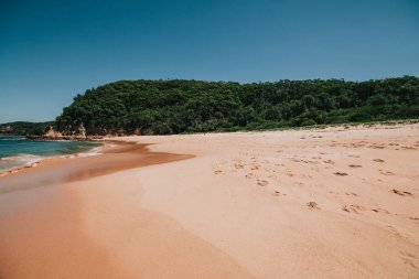 Australian beach in Maitland Bay, New South Wales. clipart