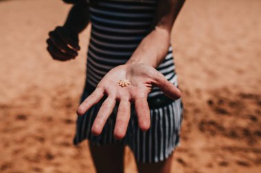 Küçük bir kabuk sahil şeridi, elinde tutan kadın.