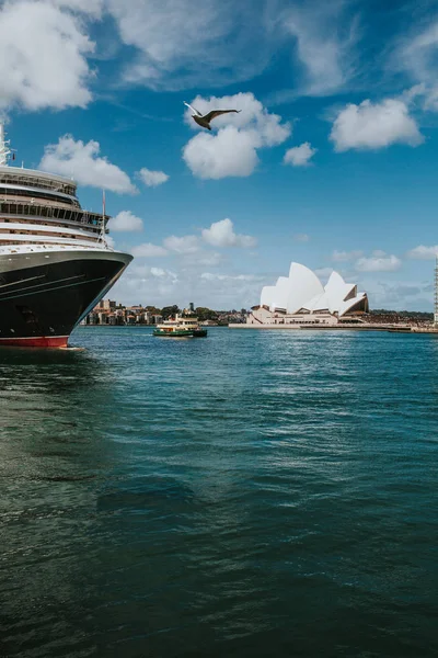 La baie de Sydney avec l'Opéra en arrière-plan. Mouette traversant la scène — Photo