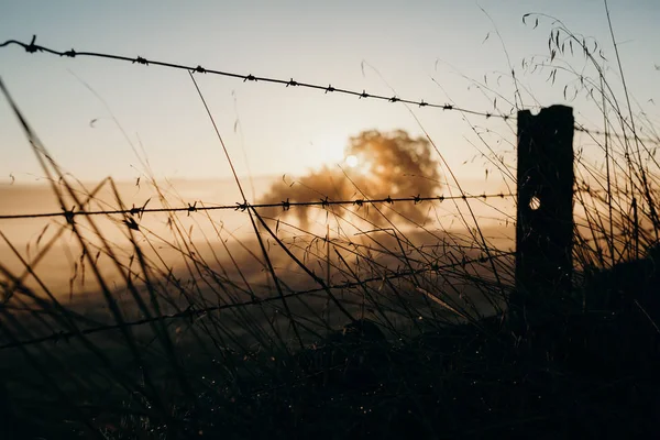 Barbed wire fences dividing land. Beautiful dawn light. — Stock Photo, Image