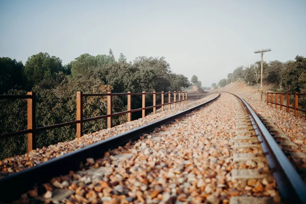 Demiryolu eğrisi düşük açılı görünüş. — Stok fotoğraf