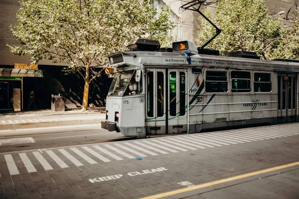 MELBOURNE, AUSTRALIA - March 11, 2017: Gray tram running along city centre in Melbourne, Australia. — Stock Photo, Image