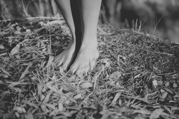 Femme pieds dans la nature. Noir et blanc — Photo