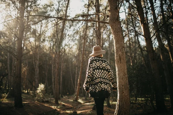 Donna nella schiena che fa una passeggiata nel mezzo di una pineta — Foto Stock