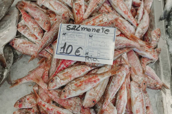 Manojo de peces salmonete rojo con una tabla de precios en euros . —  Fotos de Stock