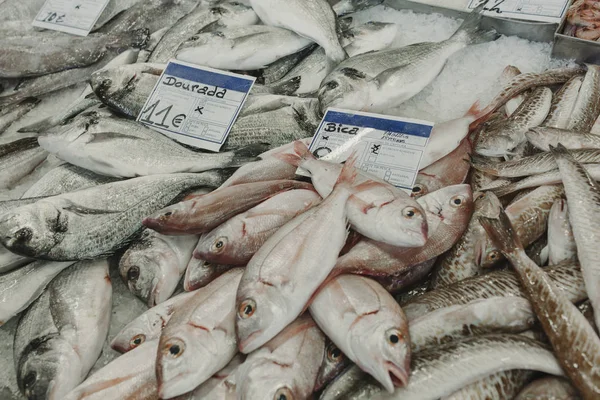 Świeże surowe ryby na lód na rynku, z desek ceny w euro, na rynku portugalskim. — Zdjęcie stockowe