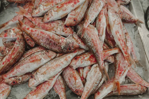 Un mucchio di triglie rosse sul ghiaccio al mercato del pesce . — Foto Stock