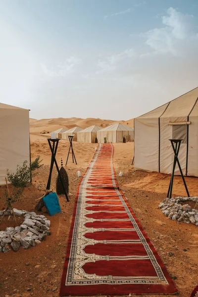 Piękny Obóz Pustynny Dywan Tworzący Korytarz Namiotami Tle — Zdjęcie stockowe