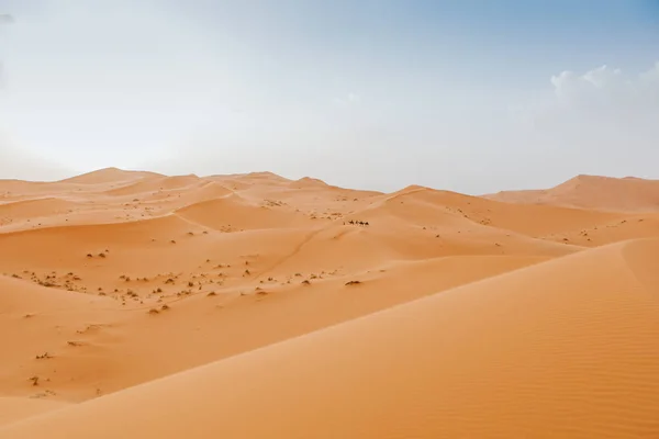 Красивий Пустельний Пейзаж Караван Верблюдів Перетинають Сцену Задньому Плані — стокове фото