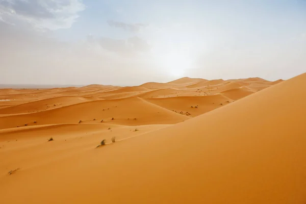 Paesaggio Desertico Con Dune Arancioni Cielo Blu Tramonto — Foto Stock