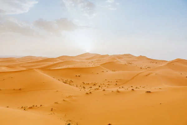 Pustynia Krajobraz Pomarańczowymi Wydmami Błękitne Niebo Zachodzie Słońca — Zdjęcie stockowe