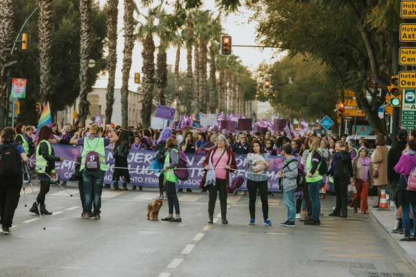 Malaga Spain March 2020 People Celebrating Woman Day Banners Placards — Stock fotografie