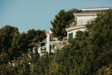 Ormanda, yeşil çam ağaçları ve bitkilerin arasına gizlenmiş büyüleyici beyaz bir villa..