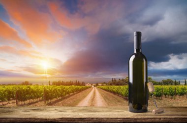 Chianti, Toskana, İtalya 'da üzüm bağında beyaz şarap