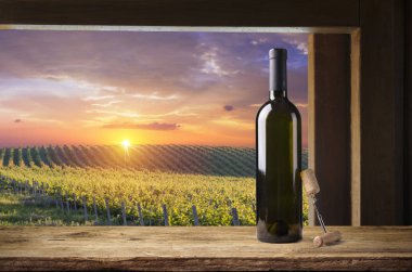 Tuscany, İtalya 'da üzüm bağında kırmızı şarap