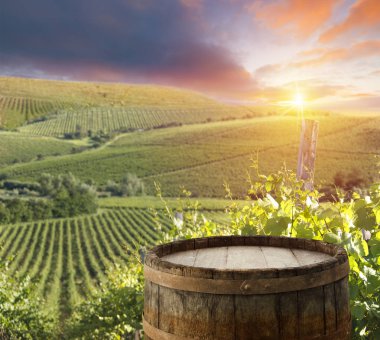 Altın ışık boğulmuş güzel sonbahar bataklık sahne korumalı sulak alanlar