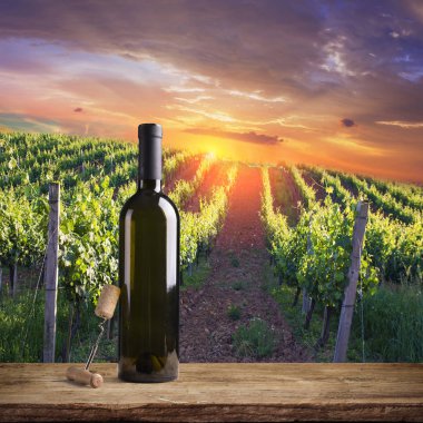 Tuscany, İtalya 'da üzüm bağında kırmızı şarap