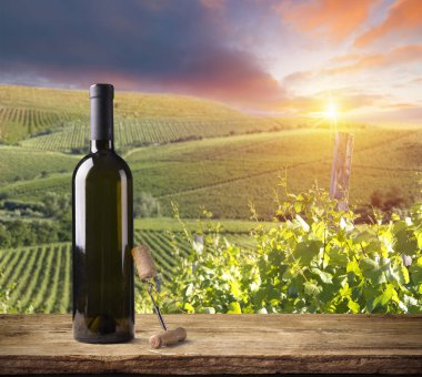 Altın ışık boğulmuş güzel sonbahar bataklık sahne korumalı sulak alanlar