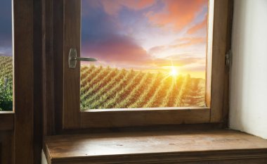 Altın ışık boğulmuş güzel sonbahar bataklık sahne korumalı sulak alanlar