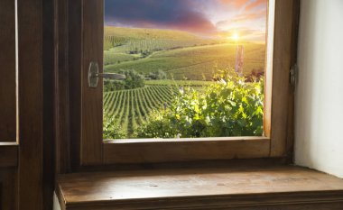 Altın ışık boğulmuş güzel sonbahar bataklık sahne korumalı sulak alanlar