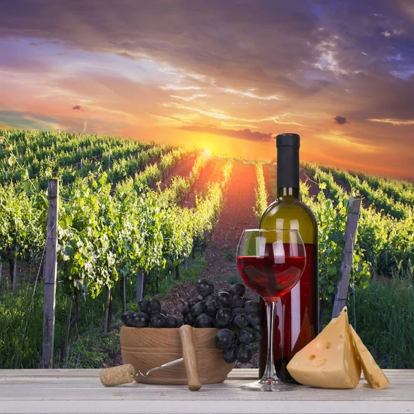 Vinho tinto com barril em vinha na Toscana verde, Itália — Fotografia de Stock
