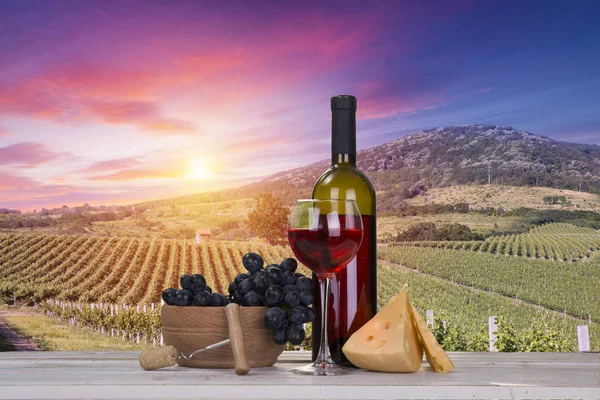 Vino rosso con botte su vigneto nella verde Toscana — Foto Stock