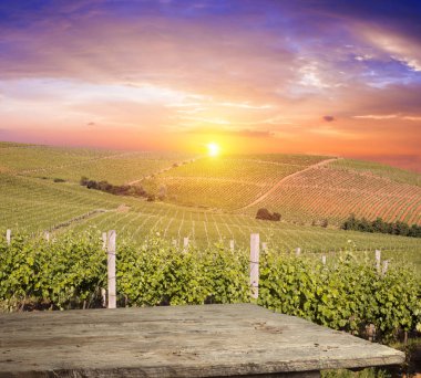Tuscany, İtalya 'da üzüm bağında kırmızı şarap