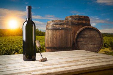 Chianti, Toskana, İtalya 'da üzüm bağında beyaz şarap