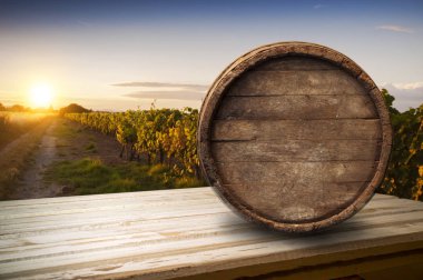 Chianti, Toskana, İtalya 'da üzüm bağında beyaz şarap