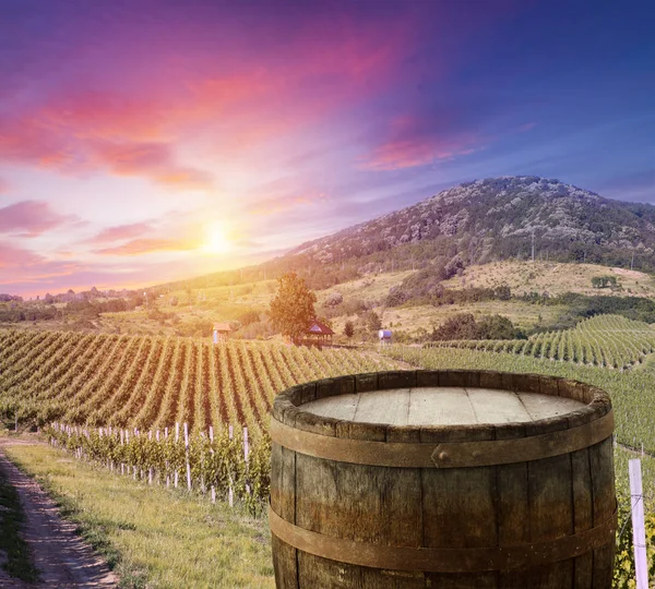 Vinho tinto com barril em vinha na Toscana verde, Itália — Fotografia de Stock