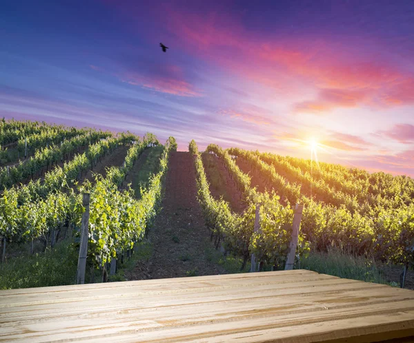 Vino tinto con barril en viñedo verde Toscana, Italia — Foto de Stock