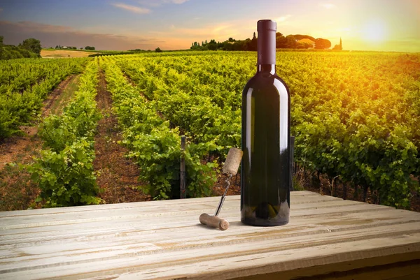 Vitt vin med fat på vingård i Chianti, Toscana, Italien — Stockfoto