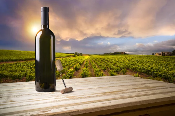 White wine with barrel on vineyard in Chianti, Tuscany, Italy Royalty Free Stock Photos