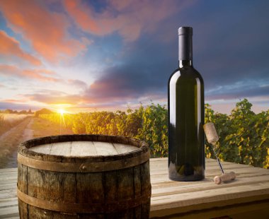 Tuscany, İtalya 'da üzüm bağında kırmızı şarap