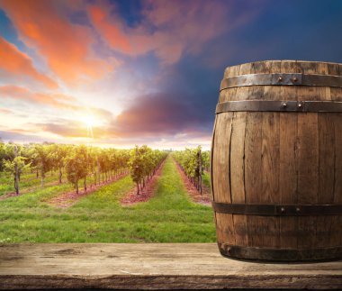 Tuscany, İtalya 'da üzüm bağında kırmızı şarap