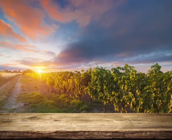 Vino rosso con botte su vigneto nella verde Toscana — Foto Stock