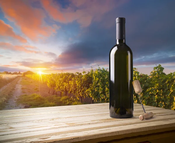 Vino tinto con barril en viñedo verde Toscana, Italia — Foto de Stock