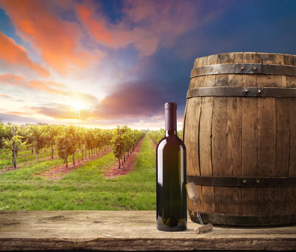 Червоне вино з бочкою на винограднику в зеленій Тоскані, Італія. — стокове фото