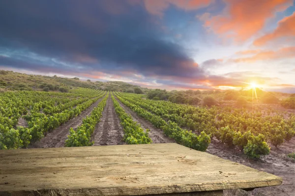 Rode wijn met vat op wijngaard in het groene Toscane, Italië — Stockfoto