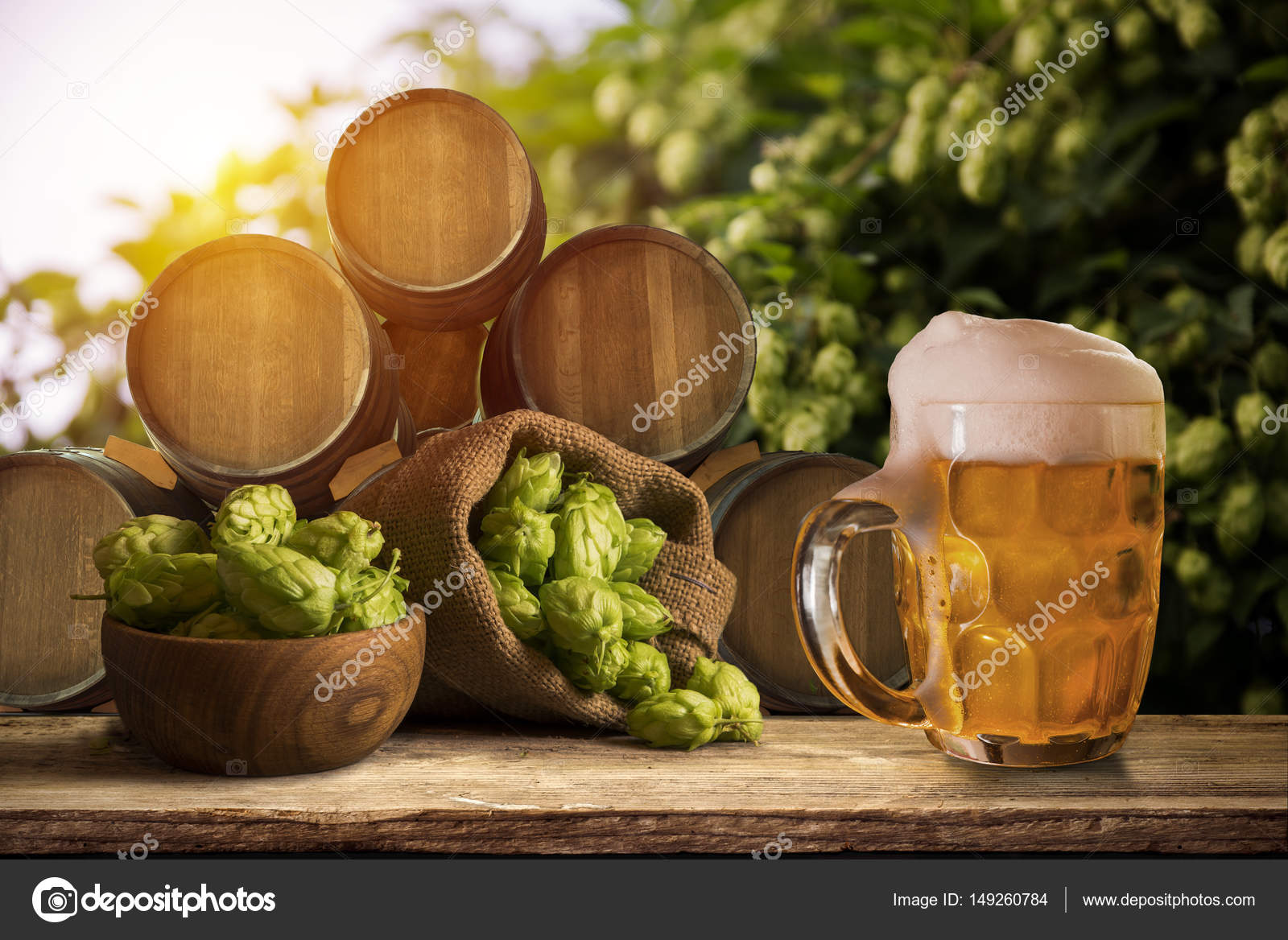 フィールドでホップの円錐形が付いているビールのグラス ストック写真 C Kishivan フィールドでホップの円錐形が付いているビールのグラス ストック写真 C Kishivan