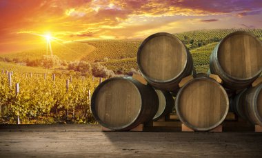 Tuscany, İtalya 'da üzüm bağında kırmızı şarap